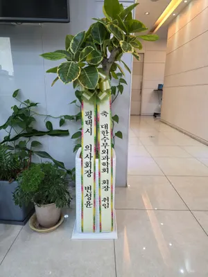 강남재준성형외과의원 — 업체가 네이버 플레이스에 올린 사진 3