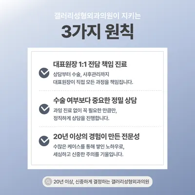 갤러리성형외과의원 — 업체가 네이버 플레이스에 올린 사진 3