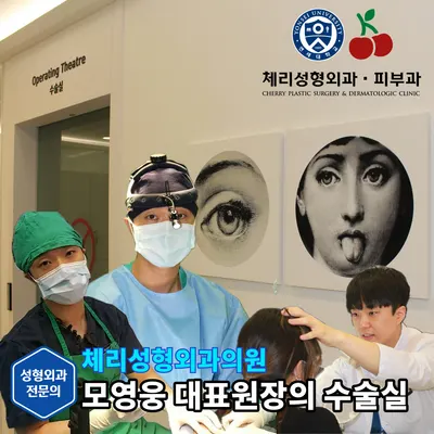 체리성형외과의원 — 업체가 네이버 플레이스에 올린 사진 1